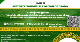 Sustentación pública opción de grado
